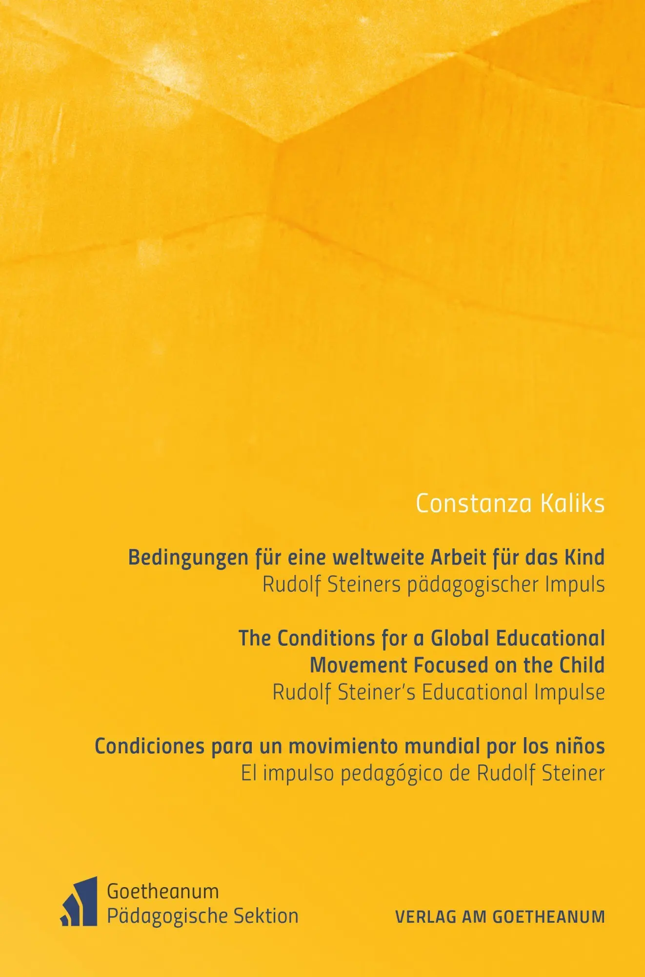 Cover: 9783723518250 | Bedingungen für eine weltweite Arbeit für das Kind | Constanza Kaliks