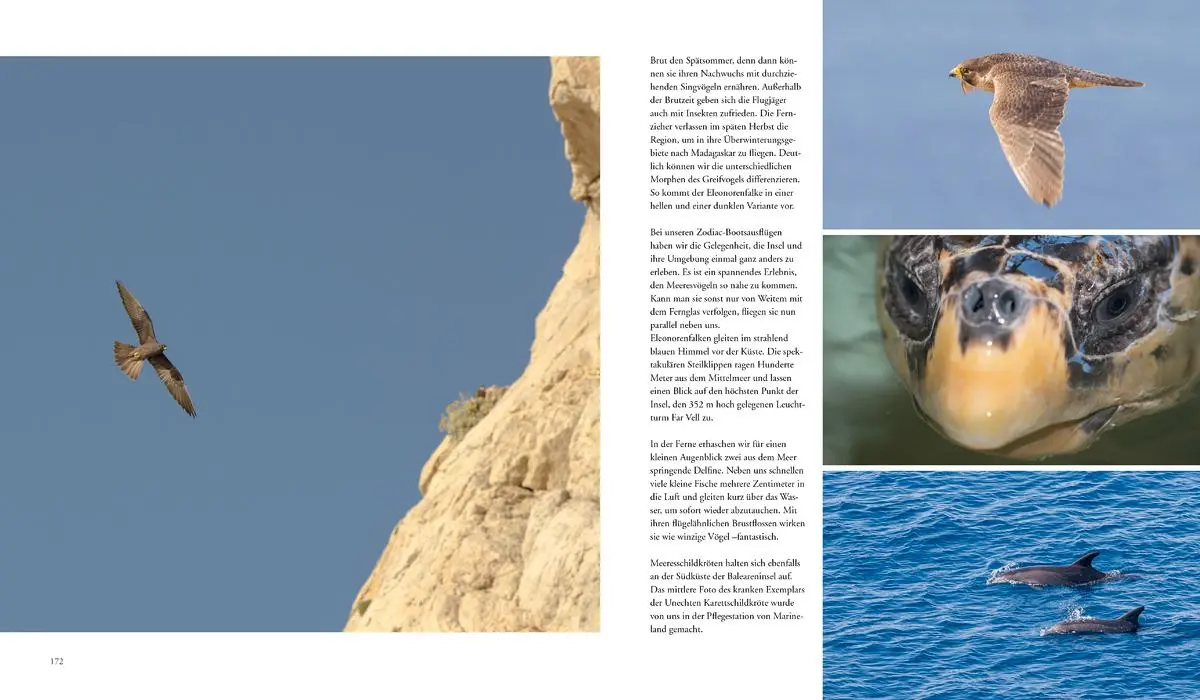 Bild: 9783981088250 | NATURERLEBNIS MALLORCA | Die wilde Seite der Insel | Daubner (u. a.)
