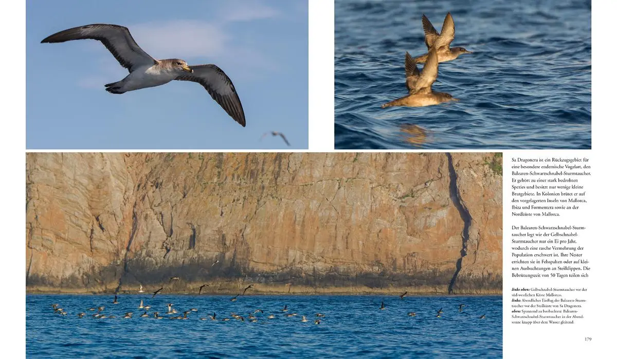 Bild: 9783981088250 | NATURERLEBNIS MALLORCA | Die wilde Seite der Insel | Daubner (u. a.)
