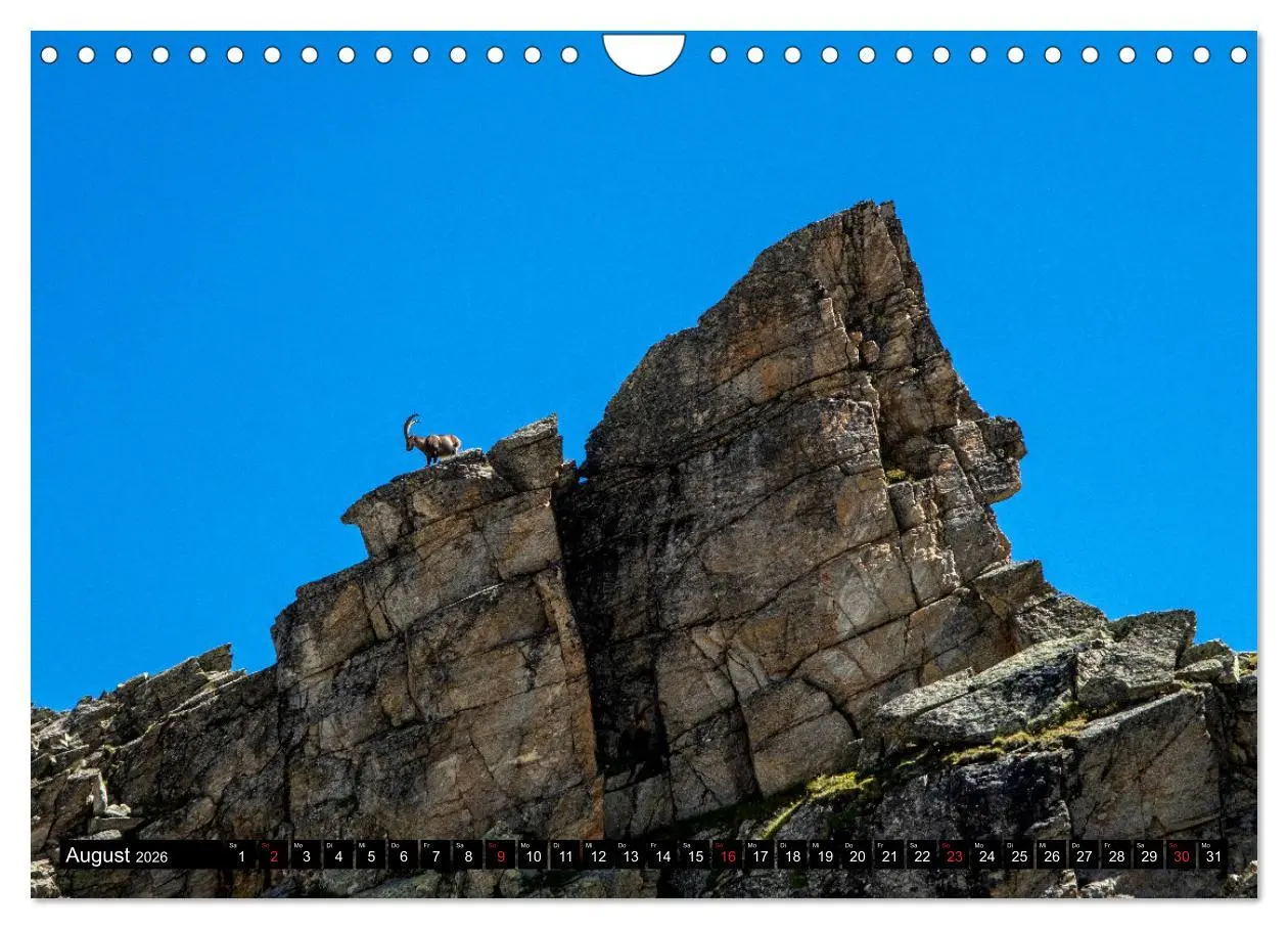 Bild: 9783457678350 | Wanderparadies Montafon (Wandkalender 2026 DIN A4 quer), CALVENDO...