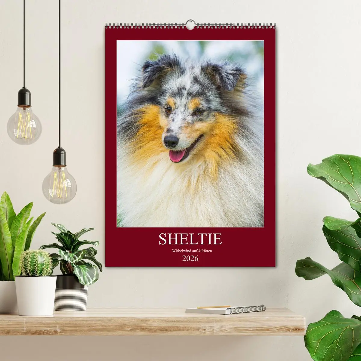 Bild: 9783516388350 | Sheltie - Wirbelwind auf 4 Pfoten (Wandkalender 2026 DIN A2 hoch),...