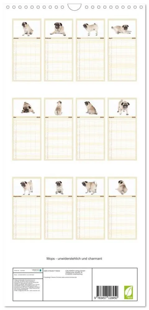Bild: 9783457118450 | Familienplaner 2025 - Mops - unwiderstehlich und charmant mit 5...