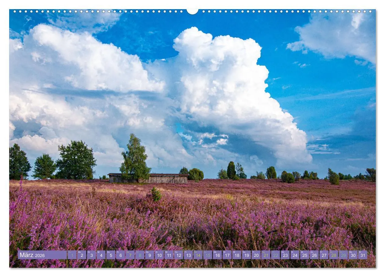 Bild: 9783457598450 | Die Farbenpracht der Lüneburger Heide (hochwertiger Premium...