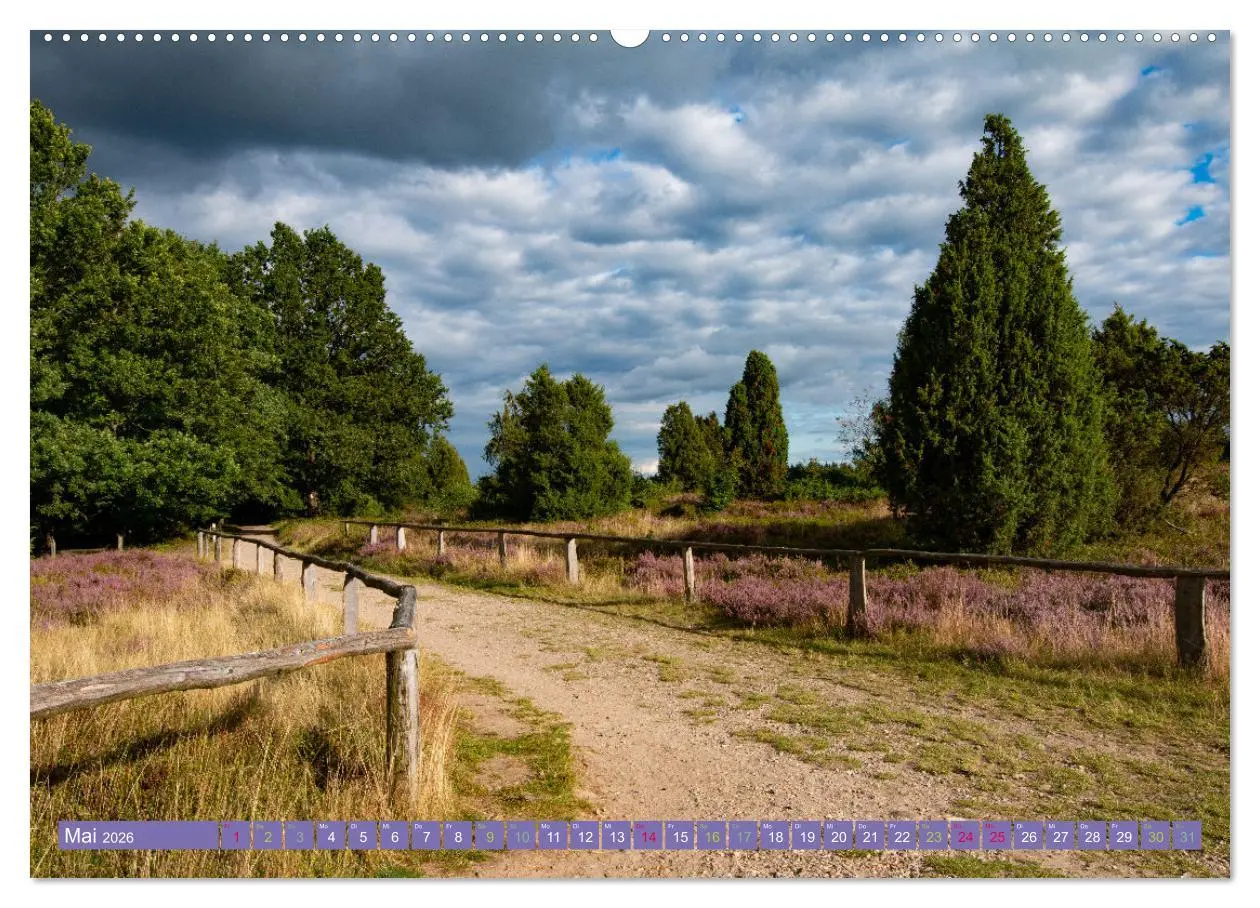 Bild: 9783457598450 | Die Farbenpracht der Lüneburger Heide (hochwertiger Premium...