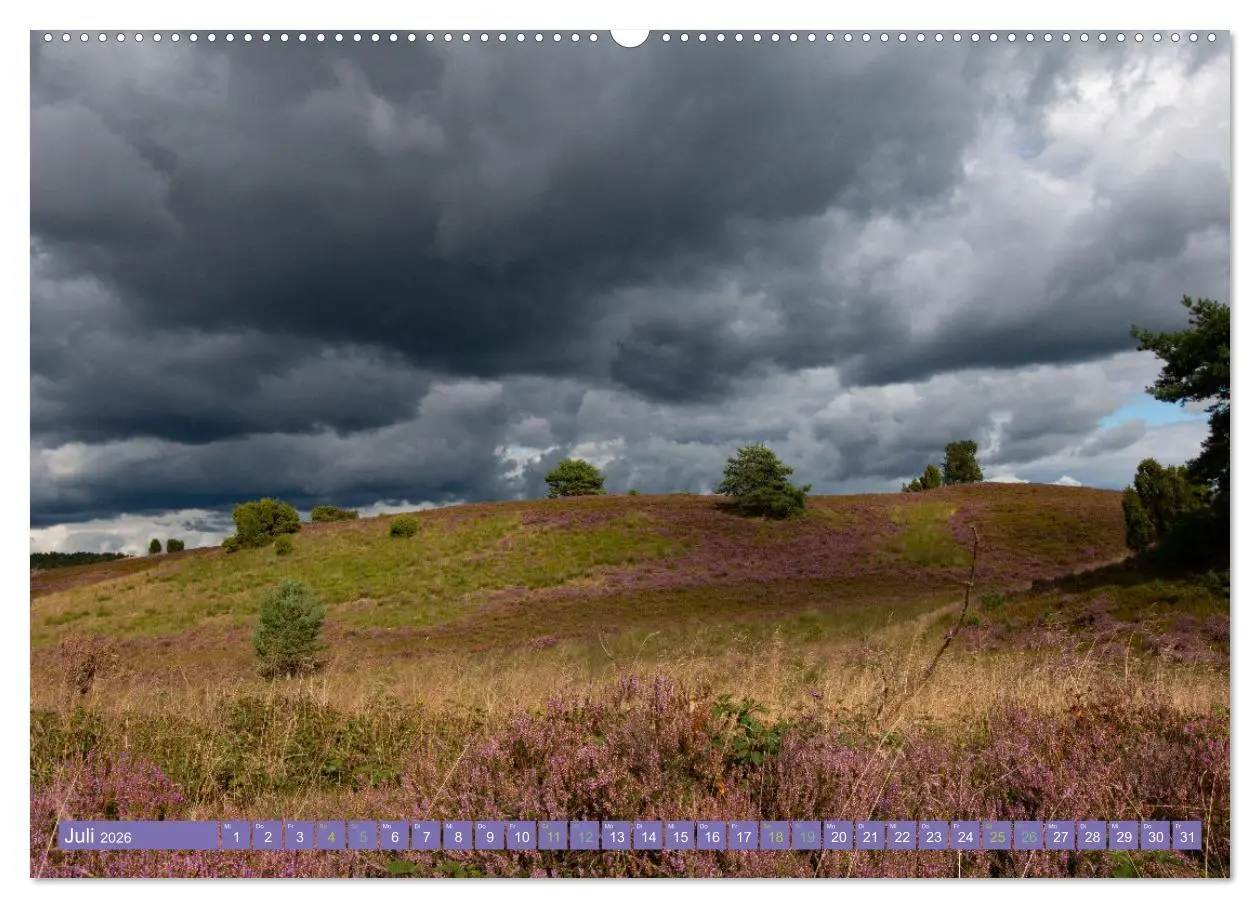 Bild: 9783457598450 | Die Farbenpracht der Lüneburger Heide (hochwertiger Premium...