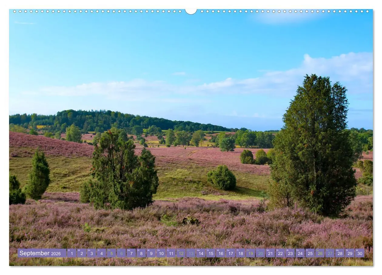 Bild: 9783457598450 | Die Farbenpracht der Lüneburger Heide (hochwertiger Premium...