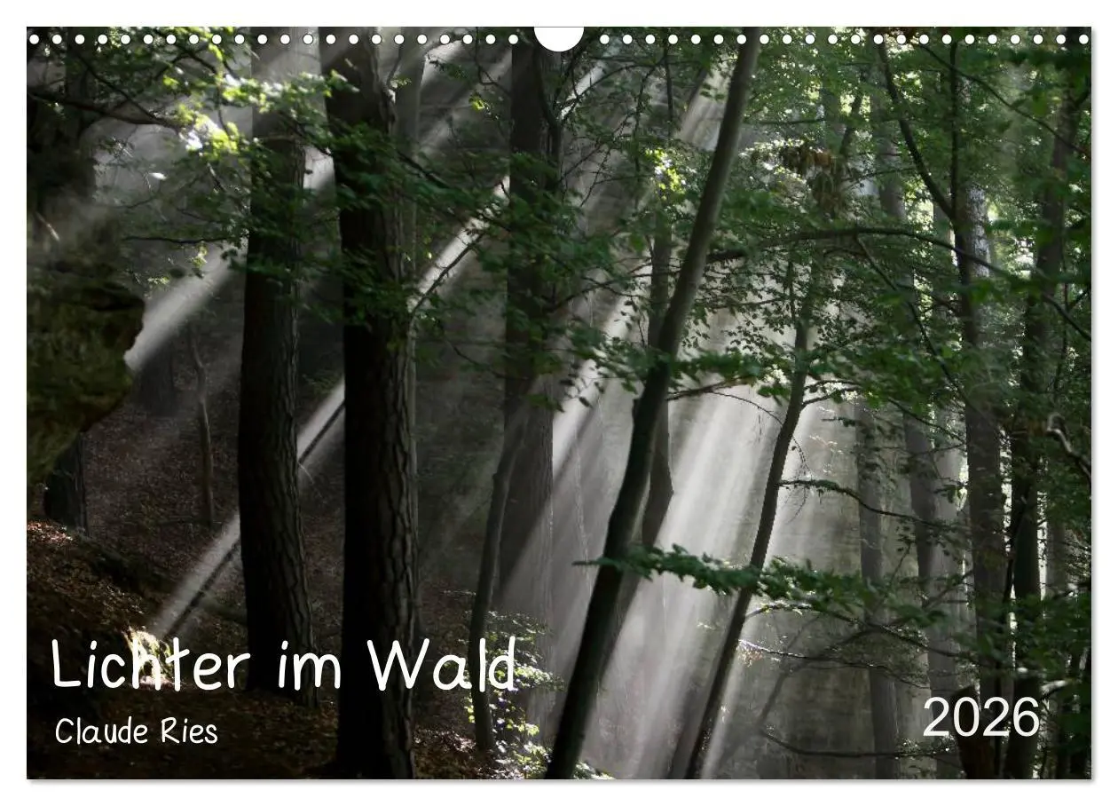 Cover: 9783516208450 | Lichter im Wald (Wandkalender 2026 DIN A3 quer), CALVENDO...