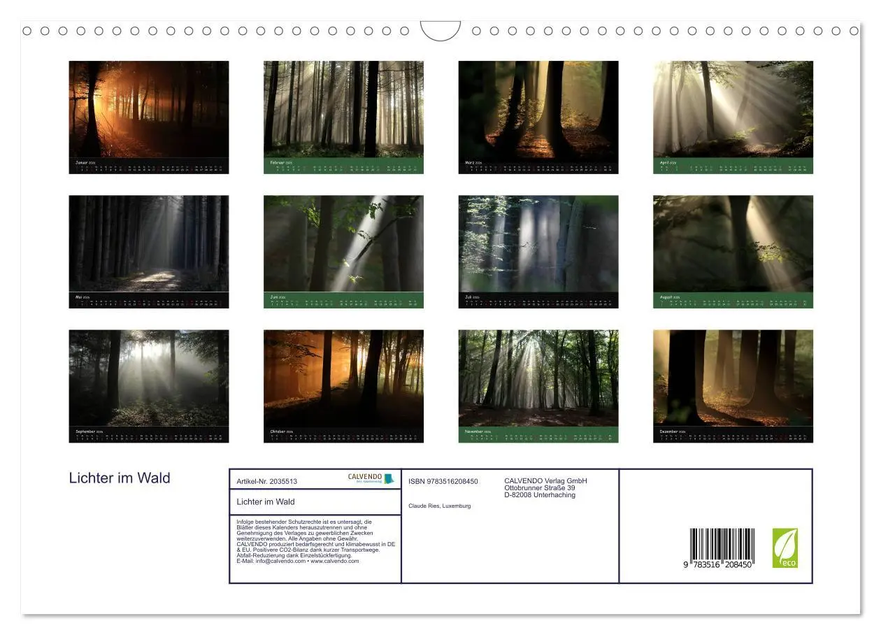 Bild: 9783516208450 | Lichter im Wald (Wandkalender 2026 DIN A3 quer), CALVENDO...