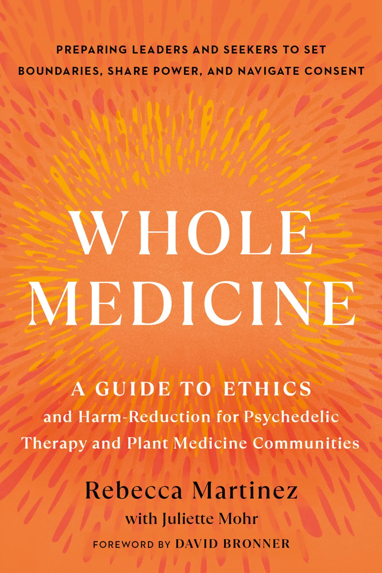 Cover: 9781623178550 | Whole Medicine | Rebecca Martinez | Taschenbuch | Englisch | 2024
