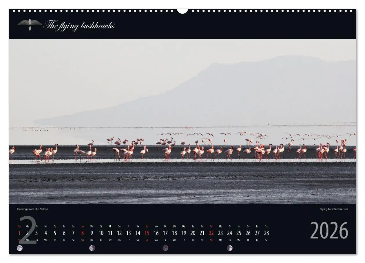Bild: 9783457278550 | Tansania Blickwinkel 2026 (hochwertiger Premium Wandkalender 2026...