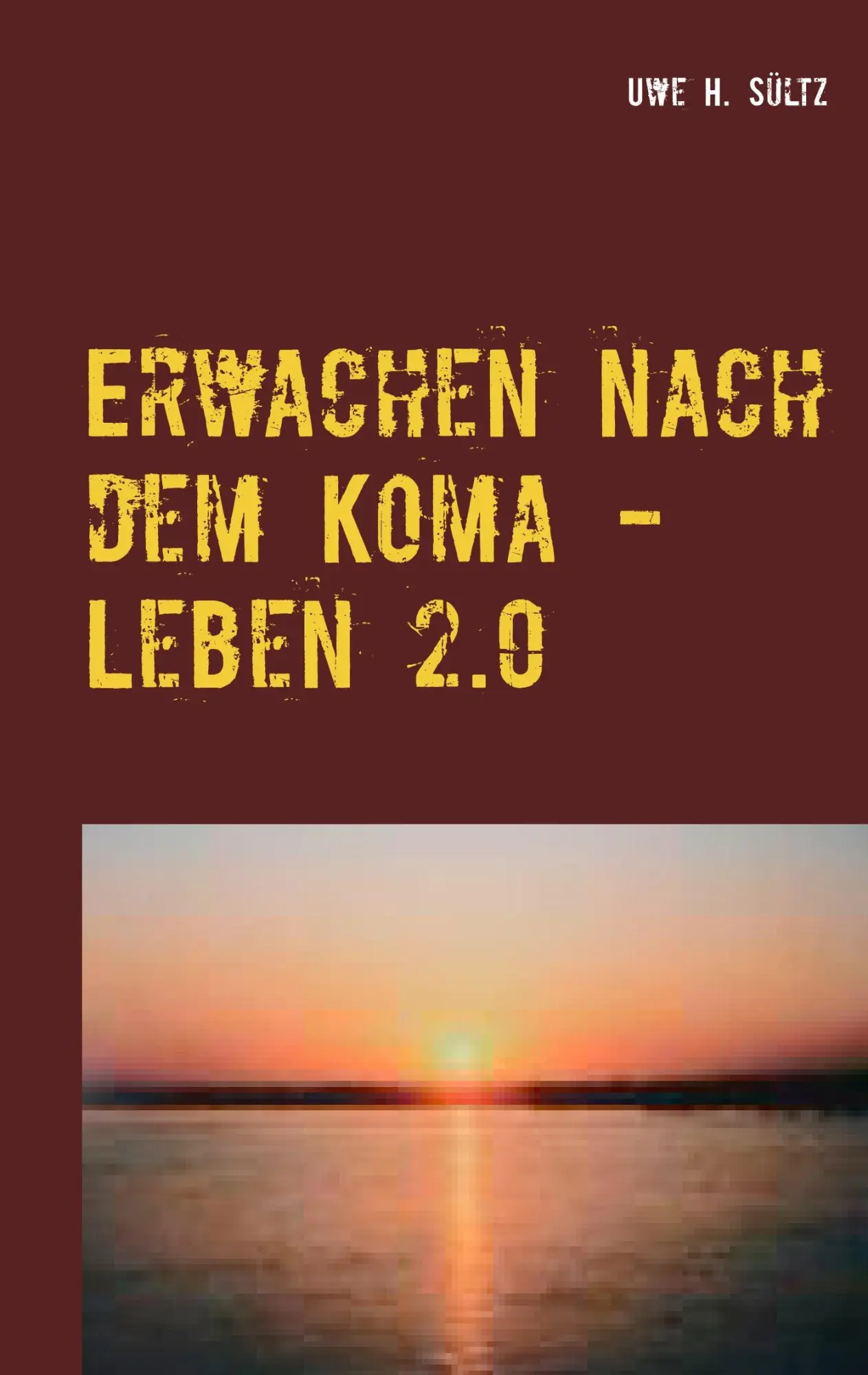 Cover: 9783746048550 | Erwachen nach dem Koma - Leben 2.0 | Uwe H. Sültz | Taschenbuch | 2017