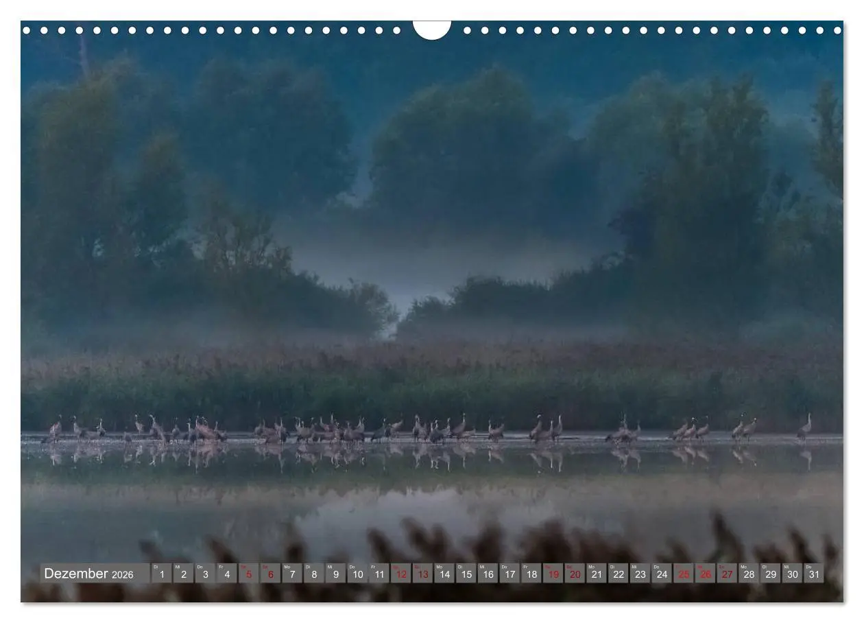 Bild: 9783457888650 | Mit Kranichen durch das Jahr (Wandkalender 2026 DIN A3 quer),...
