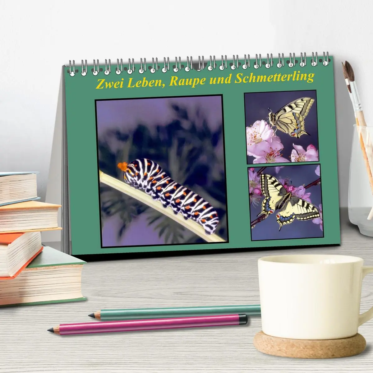 Bild: 9783457958650 | Zwei Leben, Raupe und Schmetterling (Tischkalender 2026 DIN A5...