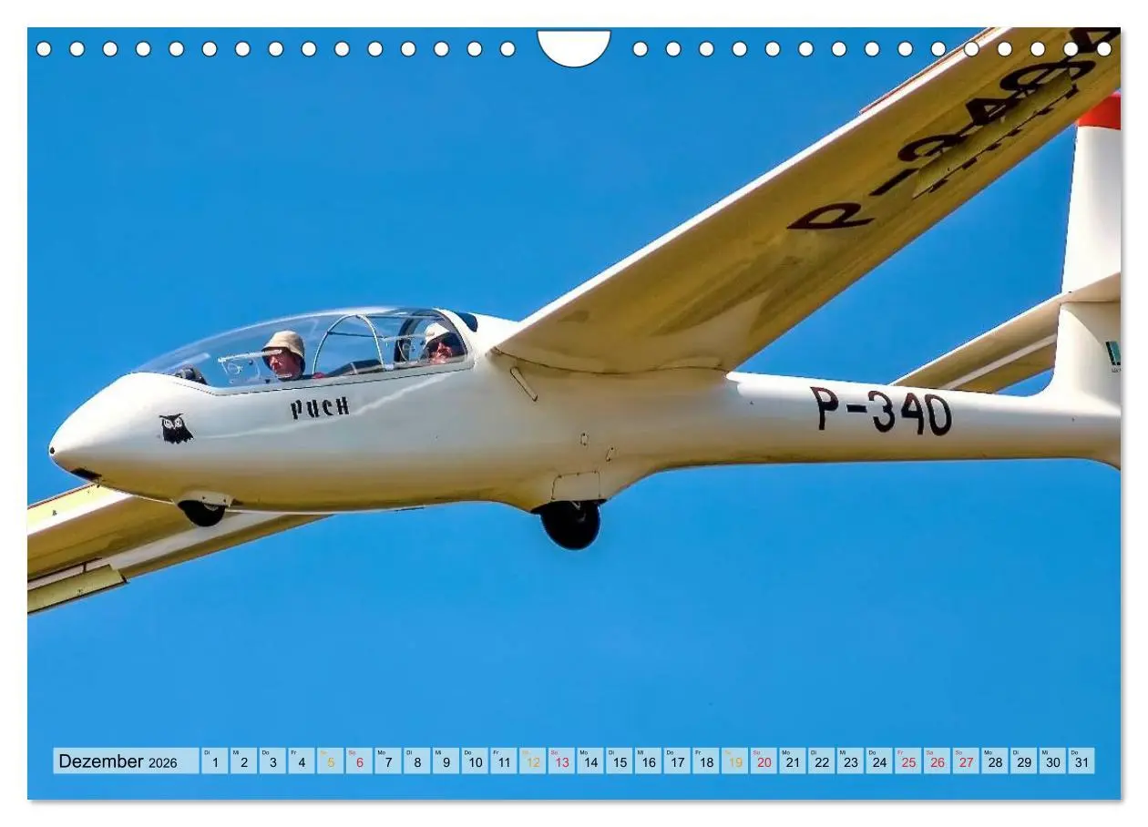 Bild: 9783516048650 | Segelfliegen - wie ein Vogel (Wandkalender 2026 DIN A4 quer),...