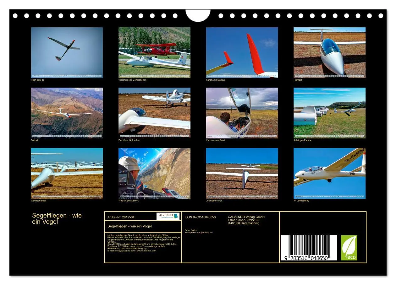 Bild: 9783516048650 | Segelfliegen - wie ein Vogel (Wandkalender 2026 DIN A4 quer),...