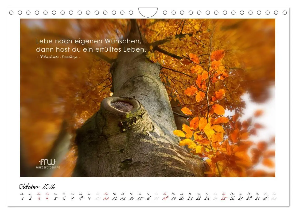 Bild: 9783516118650 | Gedanken... Bildkalender mit Sprüchen (Wandkalender 2026 DIN A4...