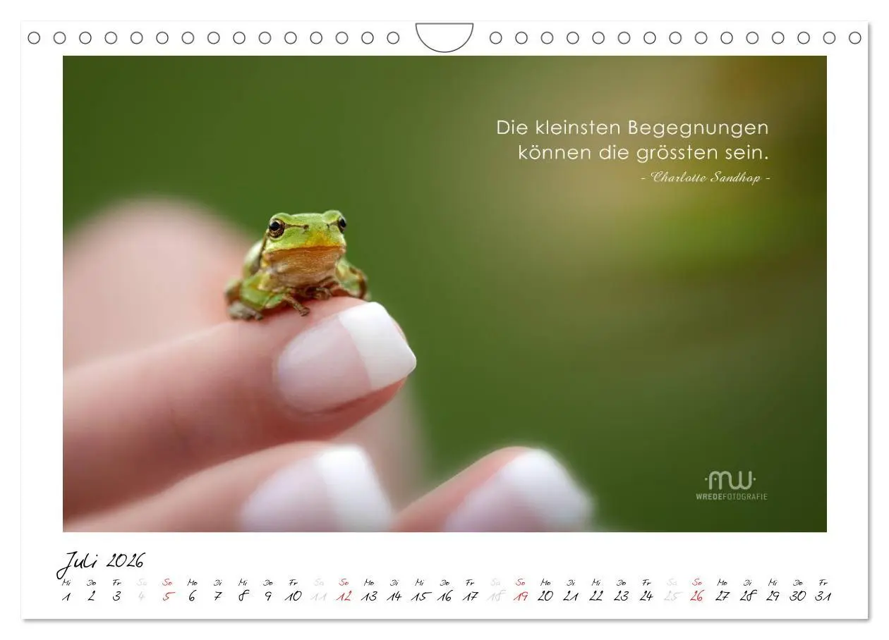 Bild: 9783516118650 | Gedanken... Bildkalender mit Sprüchen (Wandkalender 2026 DIN A4...