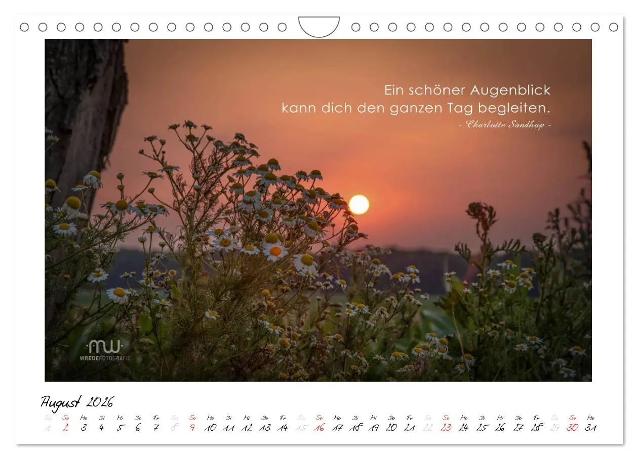Bild: 9783516118650 | Gedanken... Bildkalender mit Sprüchen (Wandkalender 2026 DIN A4...