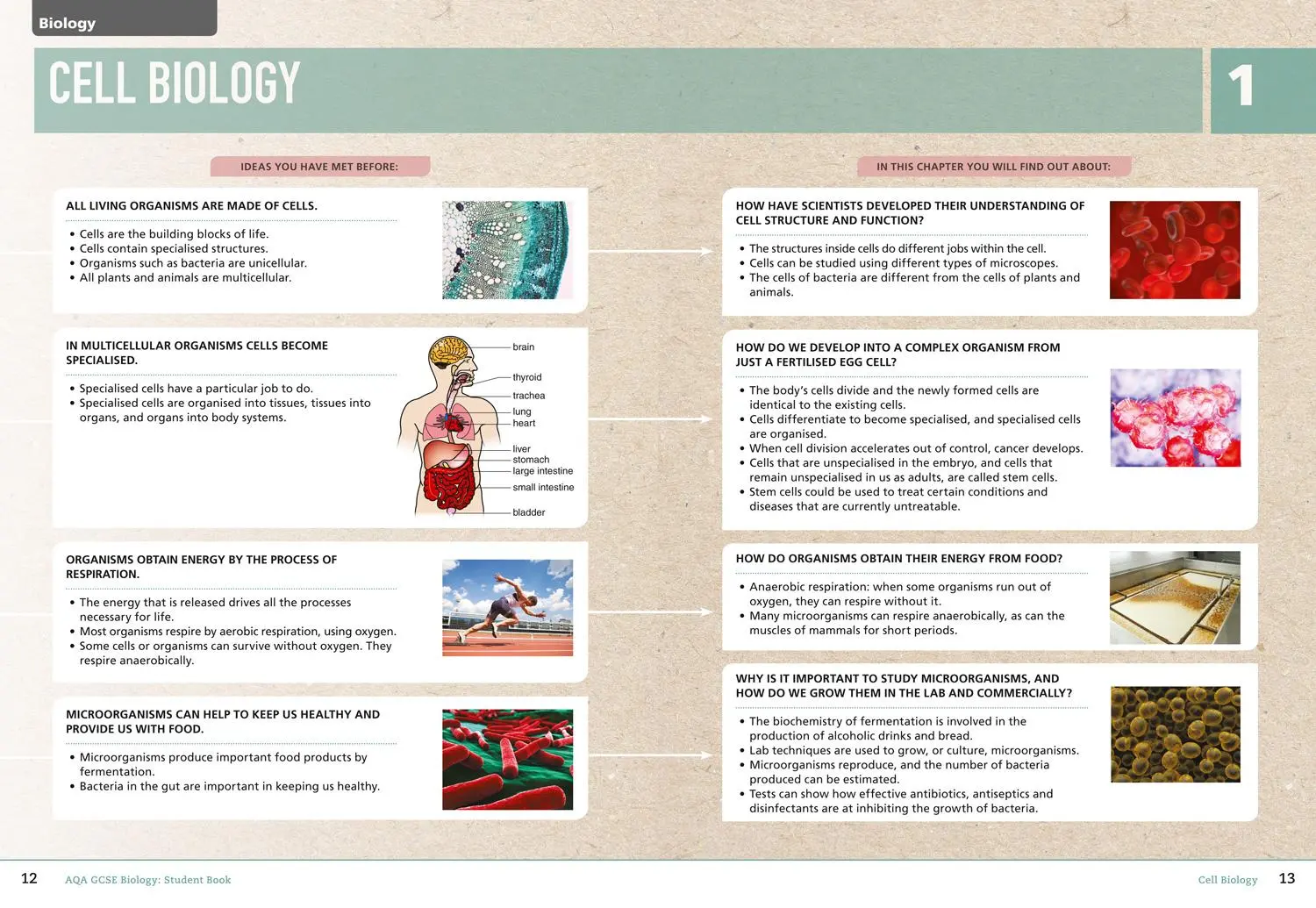 Bild: 9780008158750 | Collins Aqa GCSE (9-1) Biology | Student Book | Ann Pilling (u. a.)