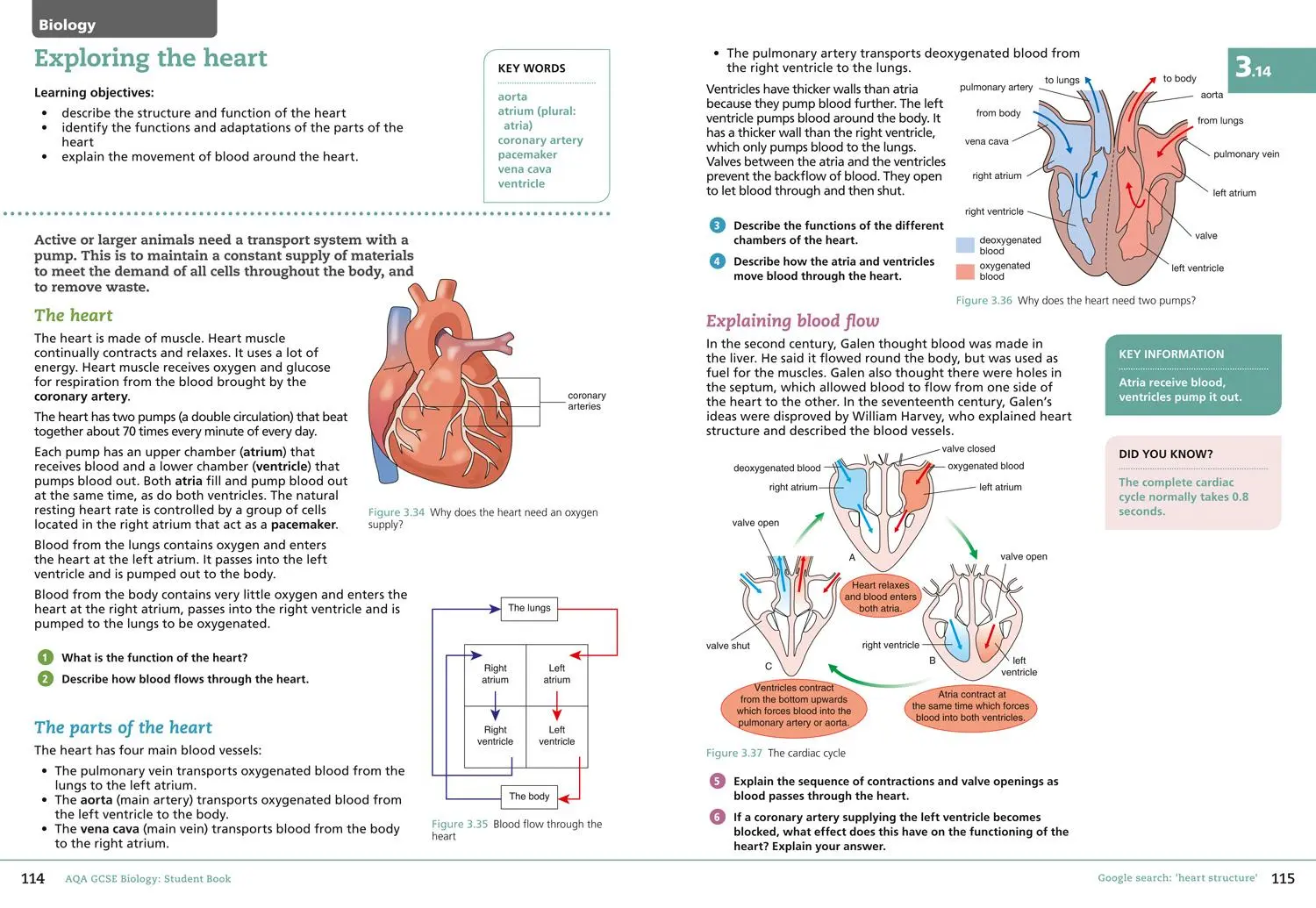 Bild: 9780008158750 | Collins Aqa GCSE (9-1) Biology | Student Book | Ann Pilling (u. a.)