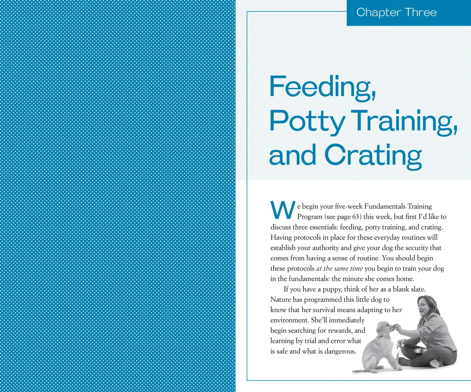 Bild: 9780761168850 | Training the Best Dog Ever | Larry Kay | Taschenbuch | Englisch | 2012