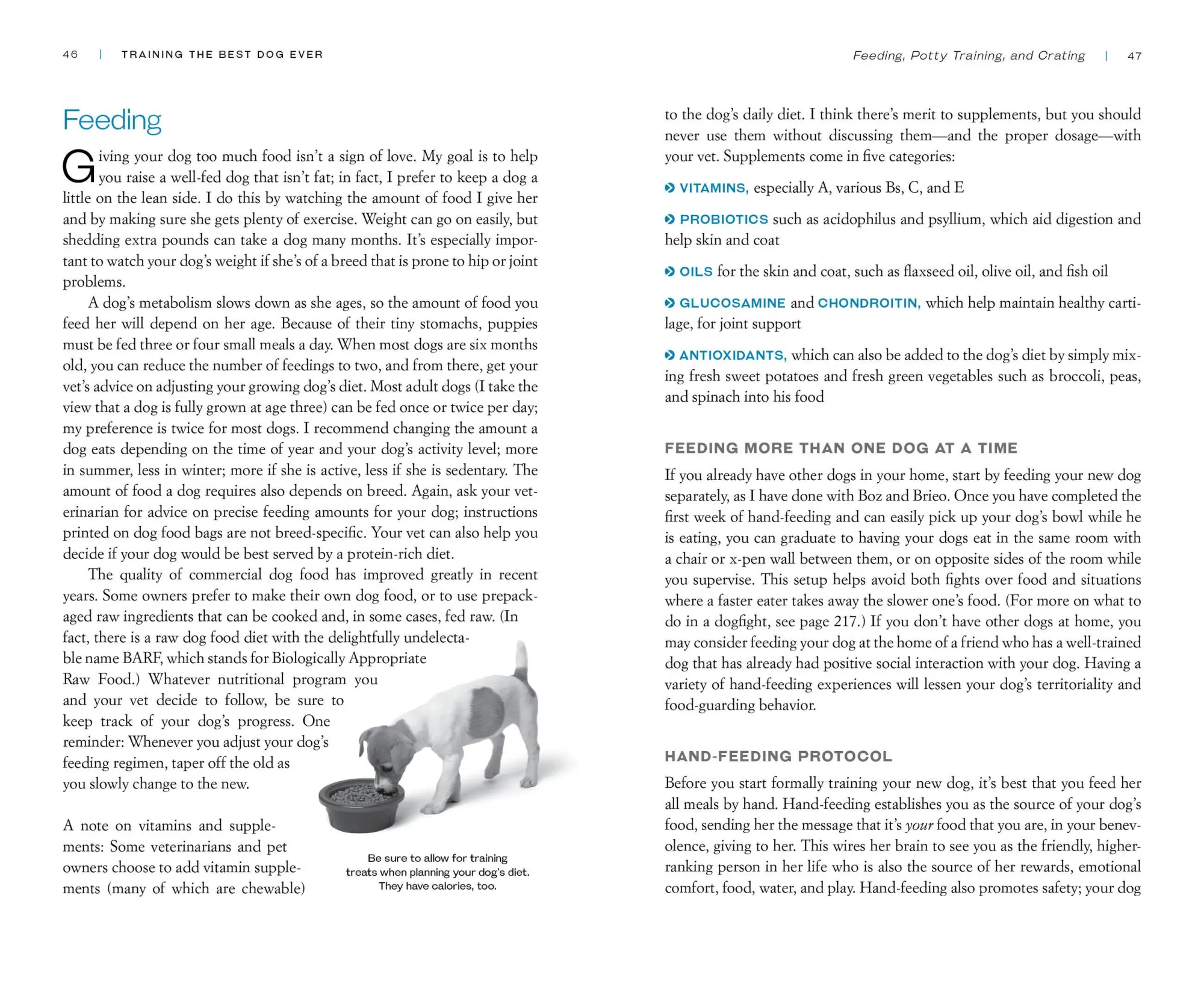 Bild: 9780761168850 | Training the Best Dog Ever | Larry Kay | Taschenbuch | Englisch | 2012