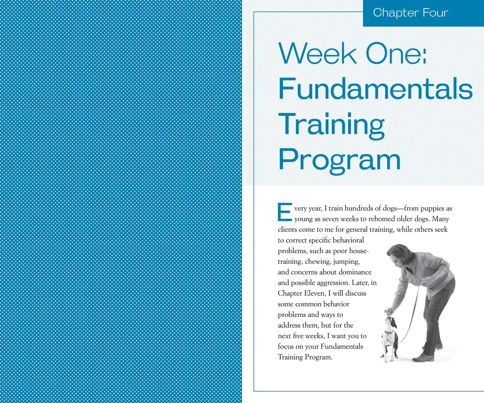 Bild: 9780761168850 | Training the Best Dog Ever | Larry Kay | Taschenbuch | Englisch | 2012