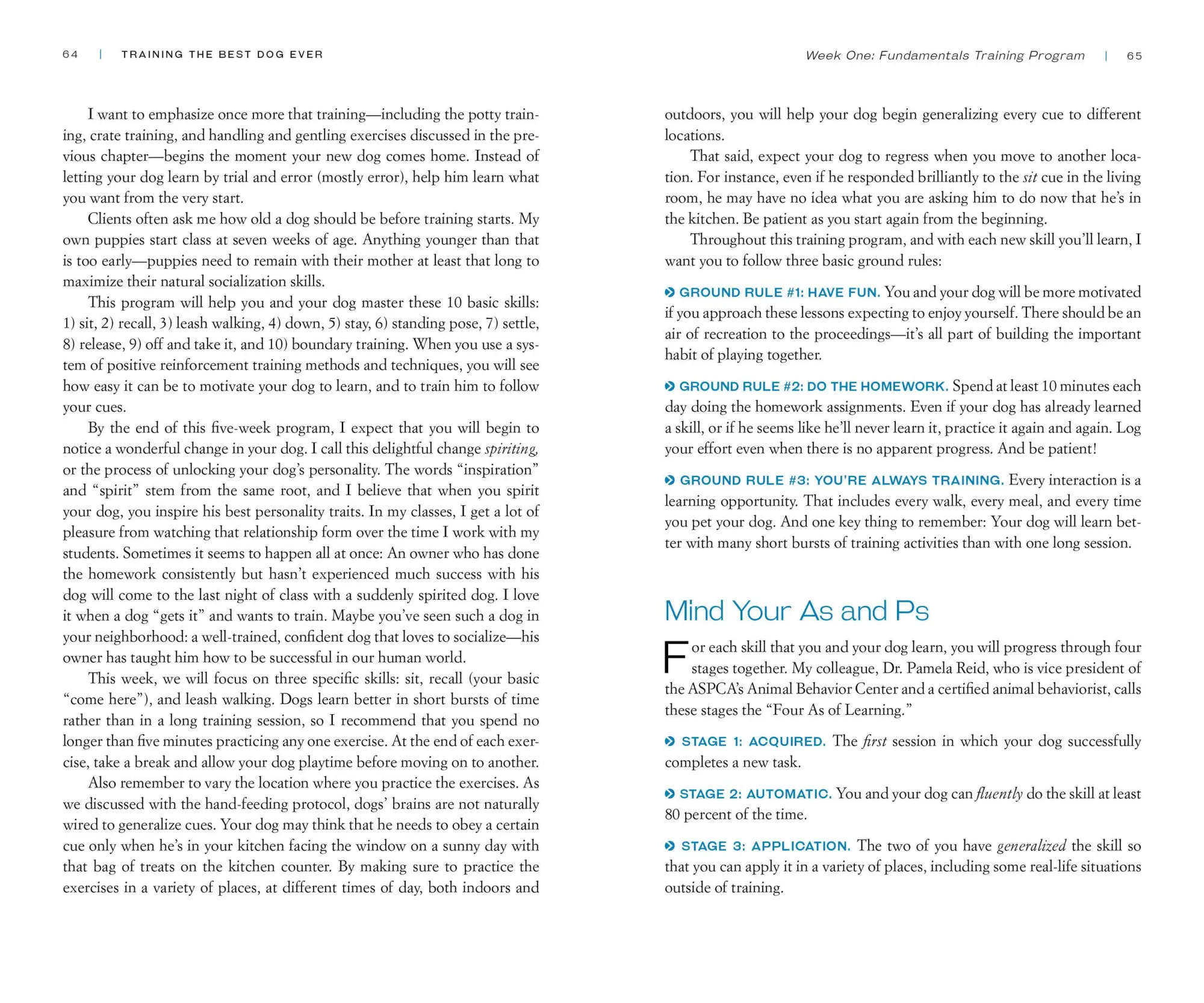 Bild: 9780761168850 | Training the Best Dog Ever | Larry Kay | Taschenbuch | Englisch | 2012