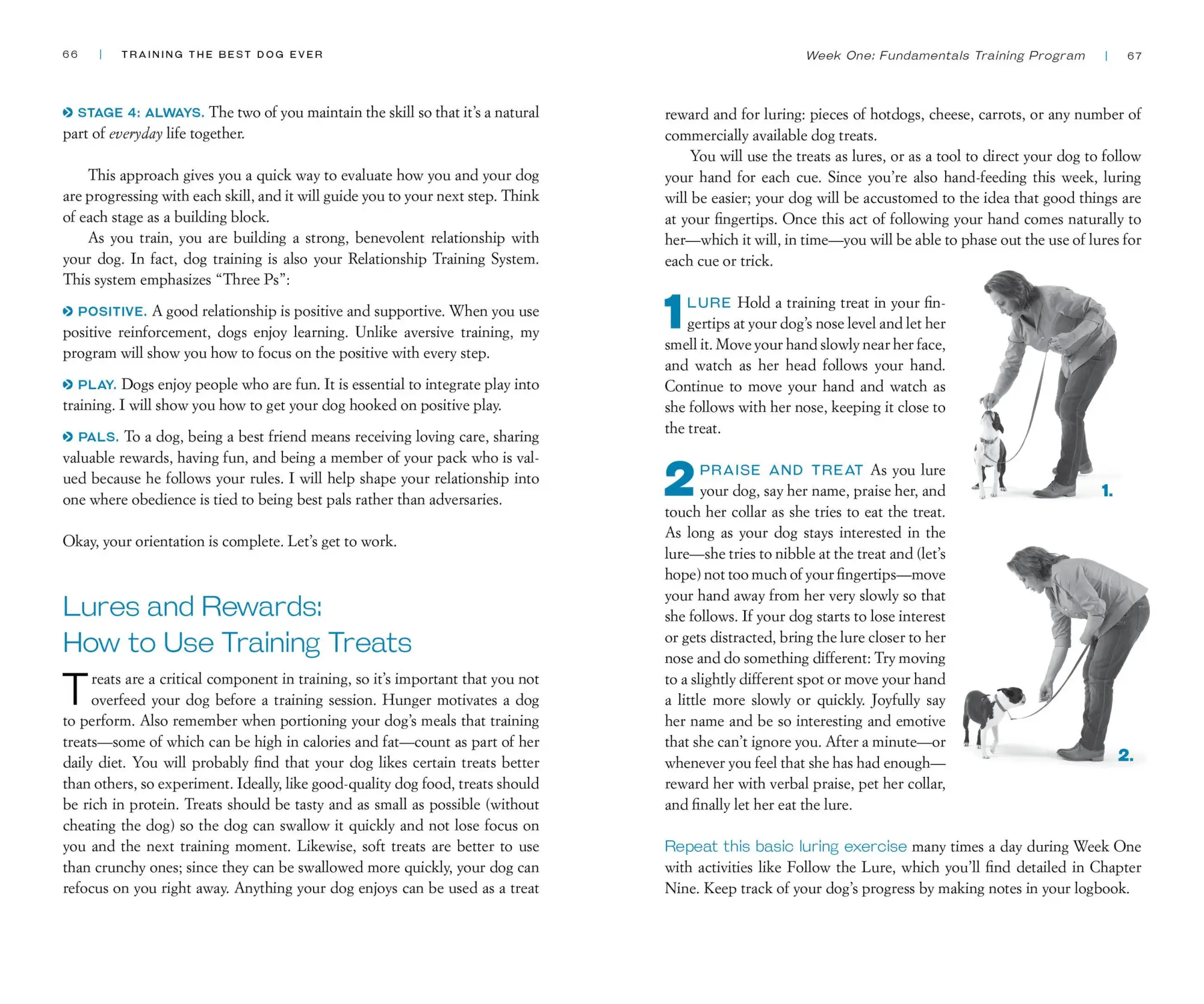 Bild: 9780761168850 | Training the Best Dog Ever | Larry Kay | Taschenbuch | Englisch | 2012