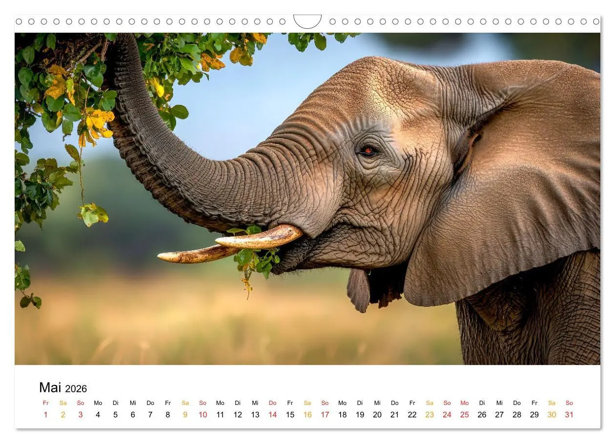 Bild: 9783457308950 | Elefanten - Riesen der Wildnis (Wandkalender 2026 DIN A3 quer),...