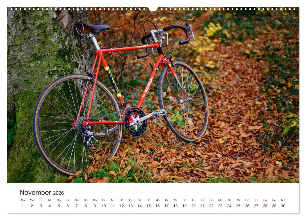 Bild: 9783457548950 | Stahlrenner - Rennrad-Klassiker aus Europa (Wandkalender 2026 DIN...