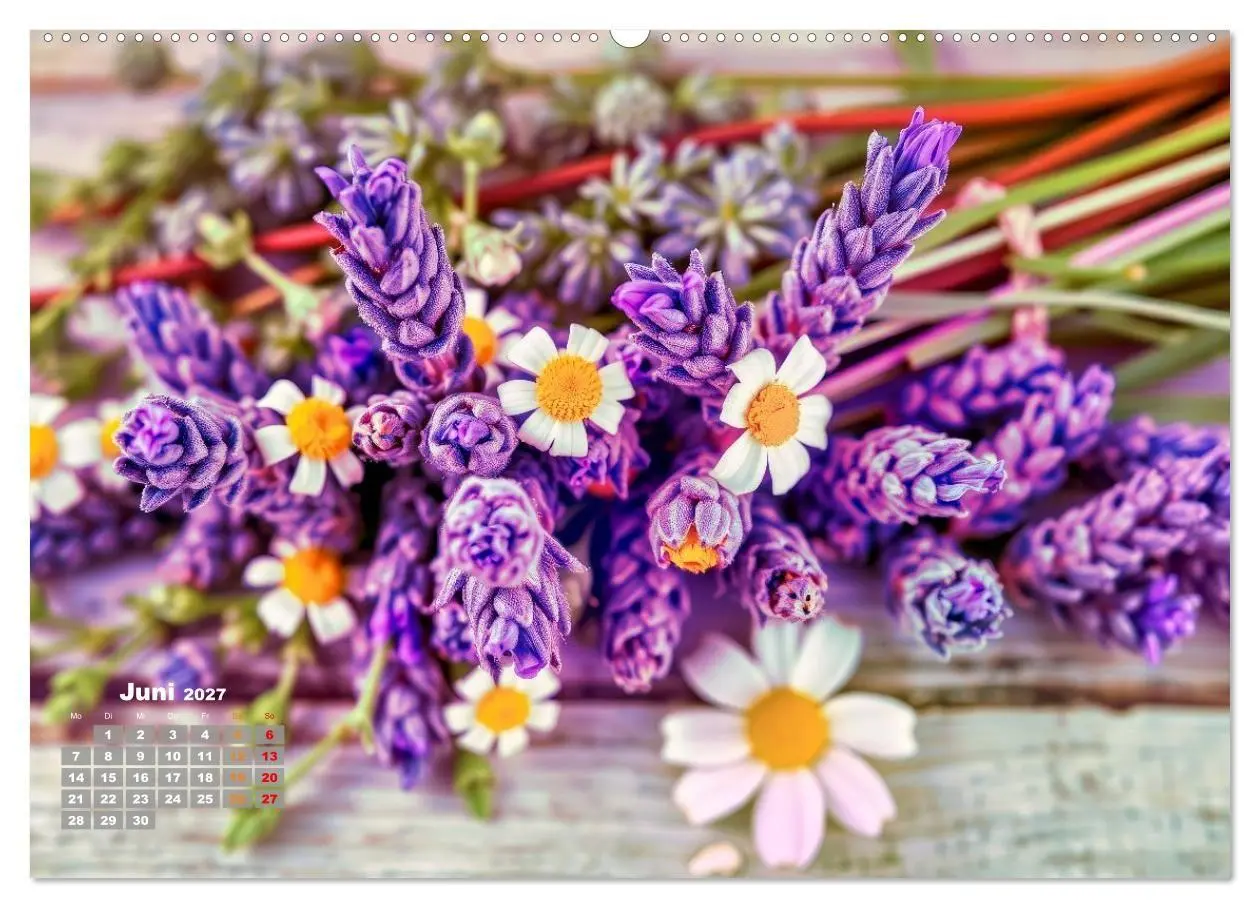 Bild: 9783516878950 | Lavendel für deine Sinne (hochwertiger Premium Wandkalender 2027...