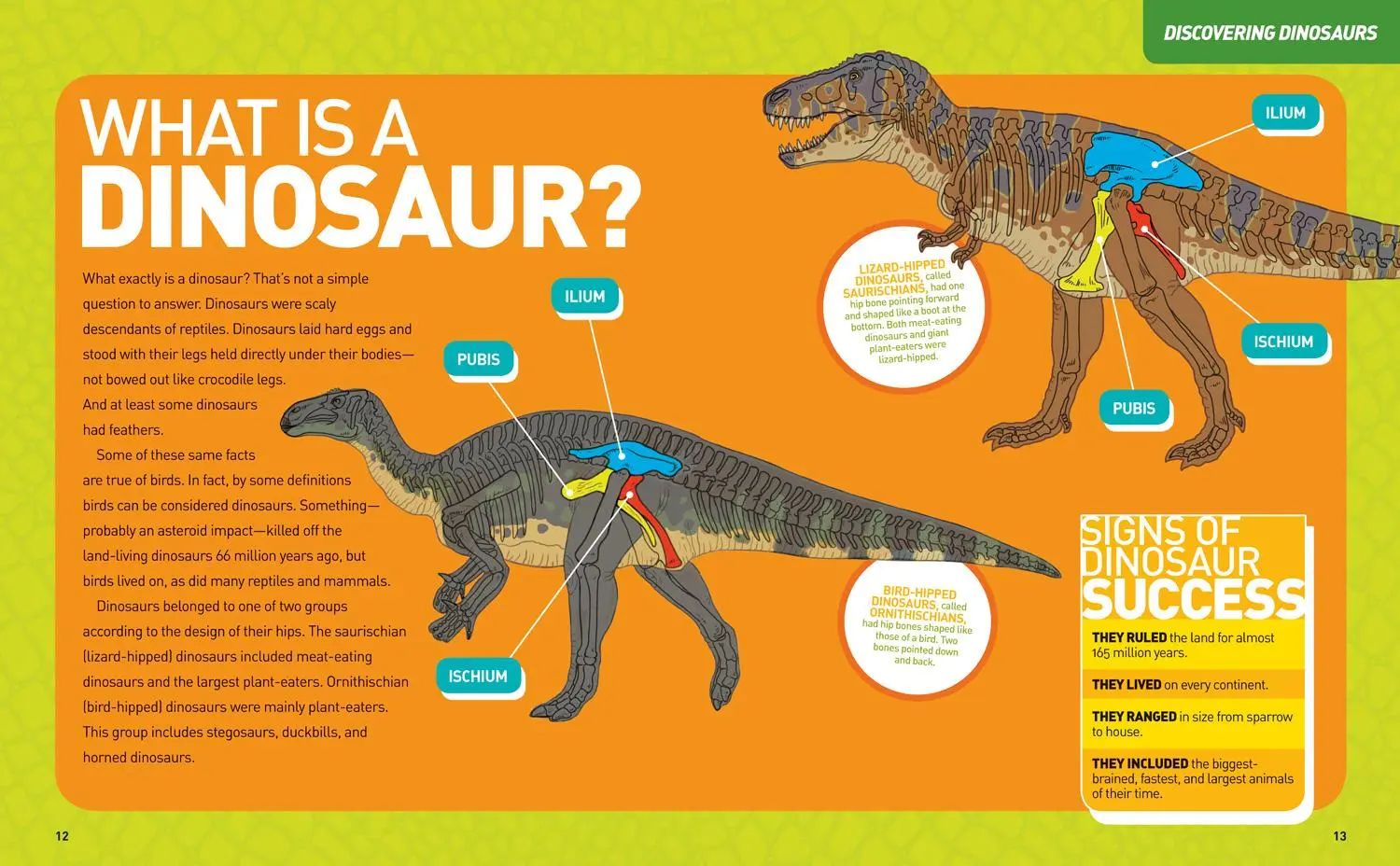 Bild: 9781426329050 | National Geographic Kids Ultimate Dinopedia, Second Edition | Lessem