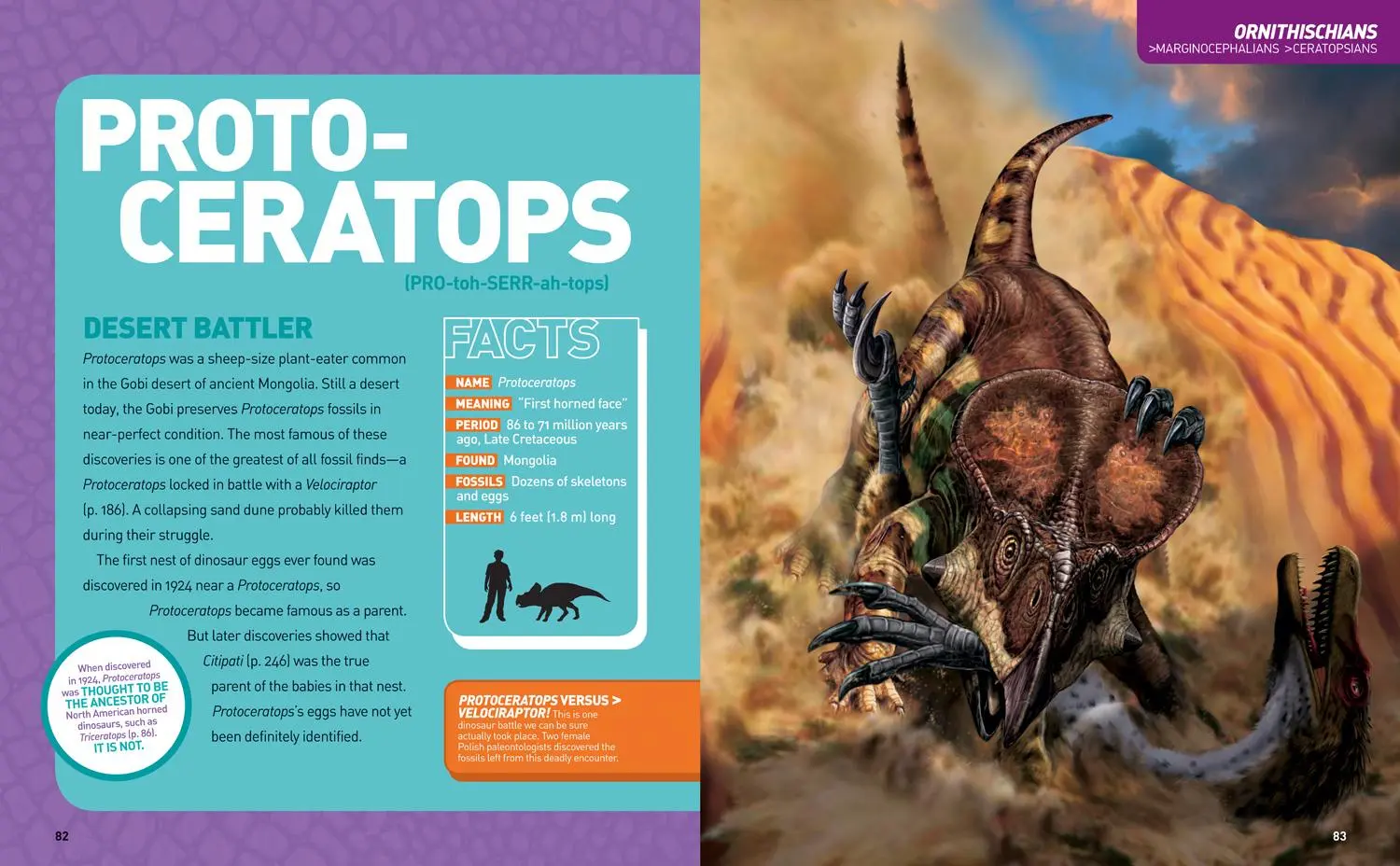 Bild: 9781426329050 | National Geographic Kids Ultimate Dinopedia, Second Edition | Lessem