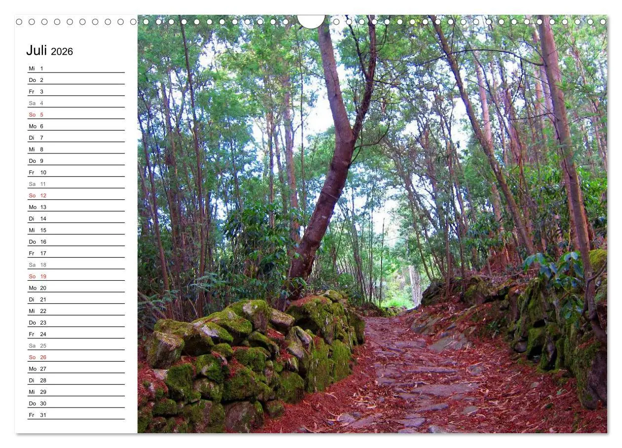 Bild: 9783457989050 | Jakobsweg - Camino Portugues (Wandkalender 2026 DIN A3 quer),...