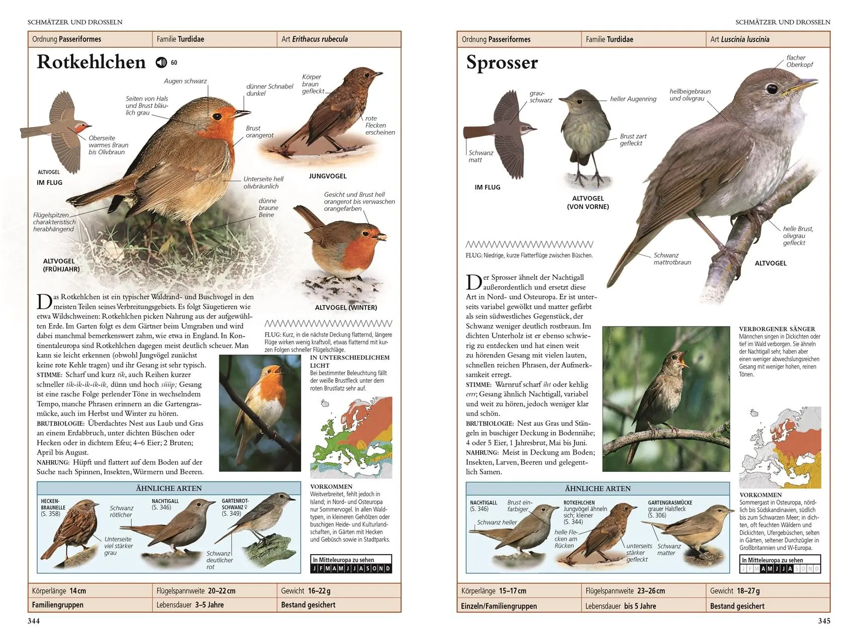 Bild: 9783831039050 | Vögel in Europa | Rob Hume | Taschenbuch | 480 S. | Deutsch | 2020