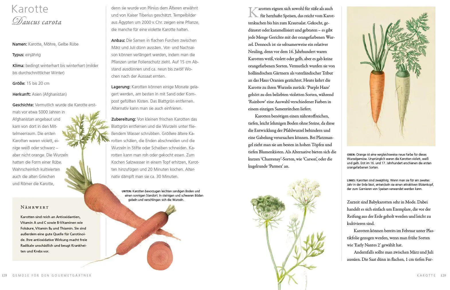 Bild: 9783832199050 | Gemüse für den Gourmetgärtner | Simon Akeroyd | Buch | 224 S. | 2016