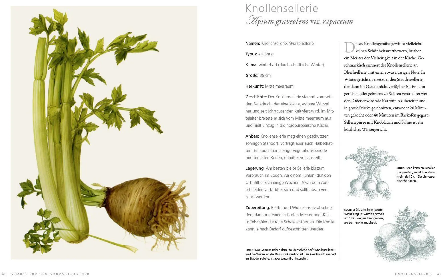Bild: 9783832199050 | Gemüse für den Gourmetgärtner | Simon Akeroyd | Buch | 224 S. | 2016