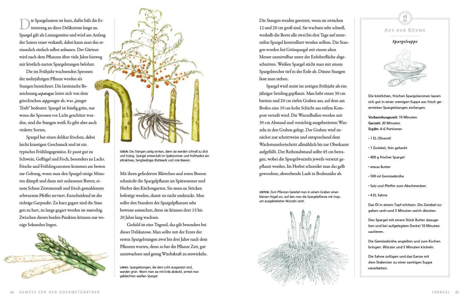Bild: 9783832199050 | Gemüse für den Gourmetgärtner | Simon Akeroyd | Buch | 224 S. | 2016