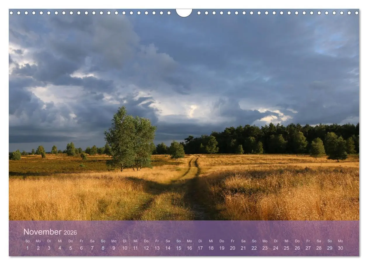 Bild: 9783457599150 | Naturschutzgebiet Lüneburger Heide (Wandkalender 2026 DIN A3 quer),...