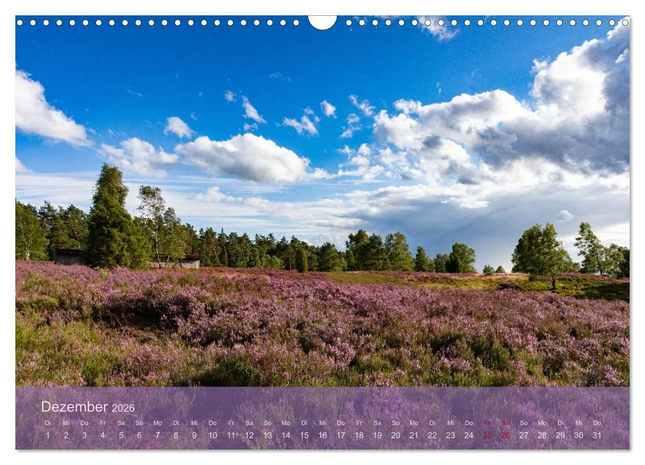Bild: 9783457599150 | Naturschutzgebiet Lüneburger Heide (Wandkalender 2026 DIN A3 quer),...