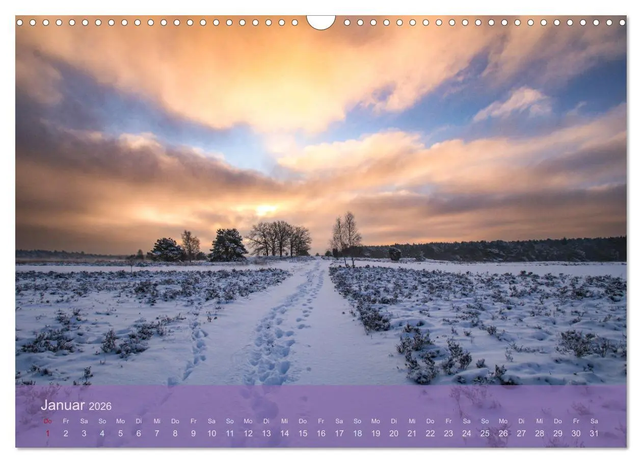 Bild: 9783457599150 | Naturschutzgebiet Lüneburger Heide (Wandkalender 2026 DIN A3 quer),...