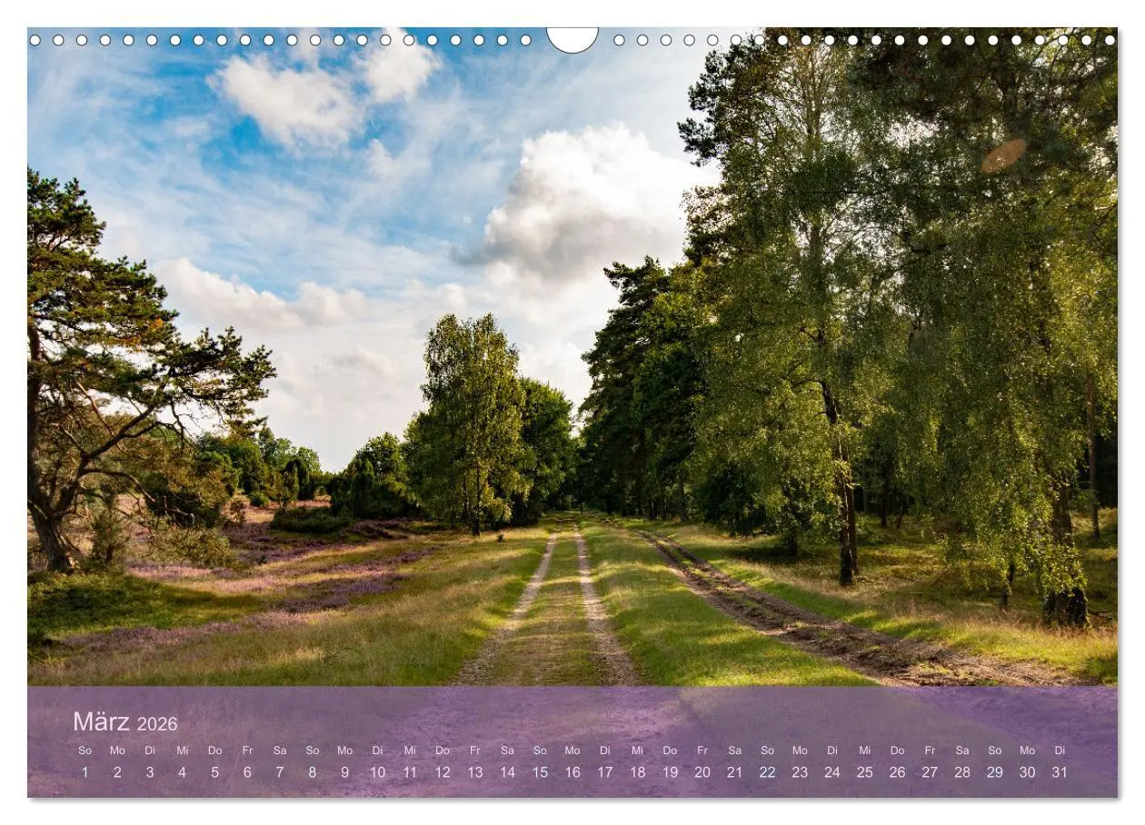Bild: 9783457599150 | Naturschutzgebiet Lüneburger Heide (Wandkalender 2026 DIN A3 quer),...