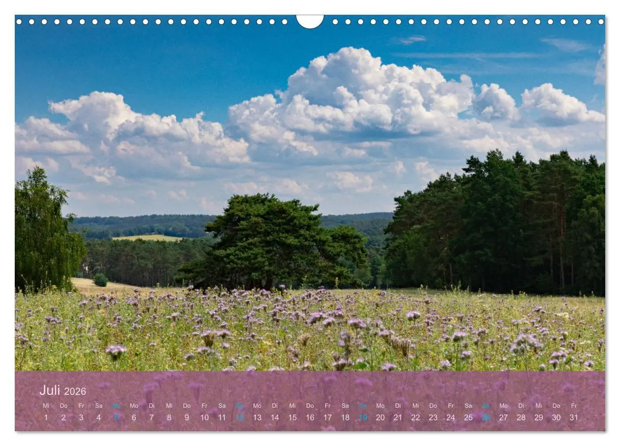 Bild: 9783457599150 | Naturschutzgebiet Lüneburger Heide (Wandkalender 2026 DIN A3 quer),...