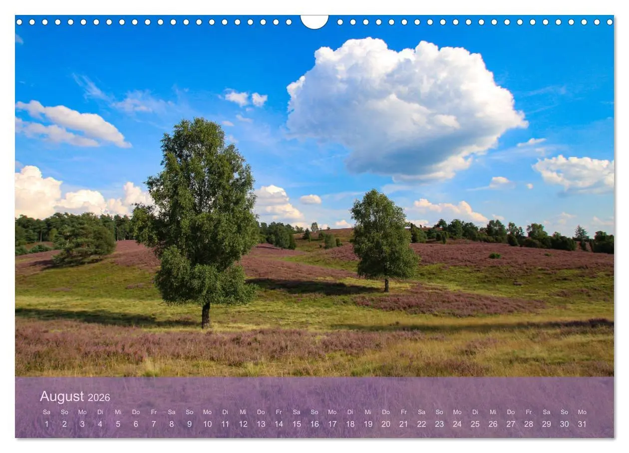 Bild: 9783457599150 | Naturschutzgebiet Lüneburger Heide (Wandkalender 2026 DIN A3 quer),...