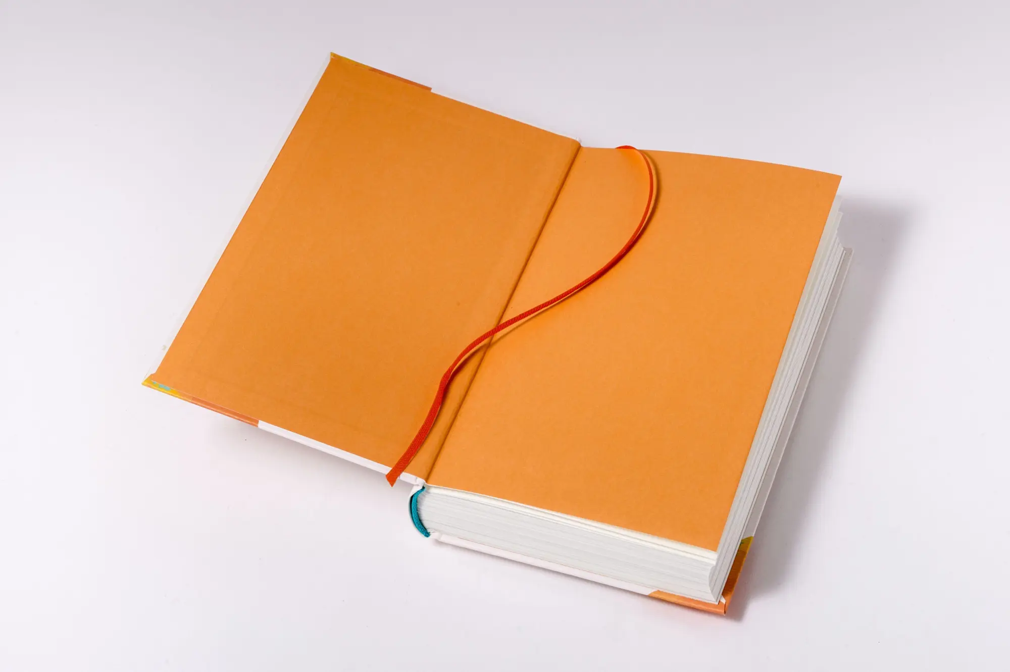 Bild: 9783453219250 | Das Buch meines Lebens haben Klügere geschrieben | Meyer-Burckhardt