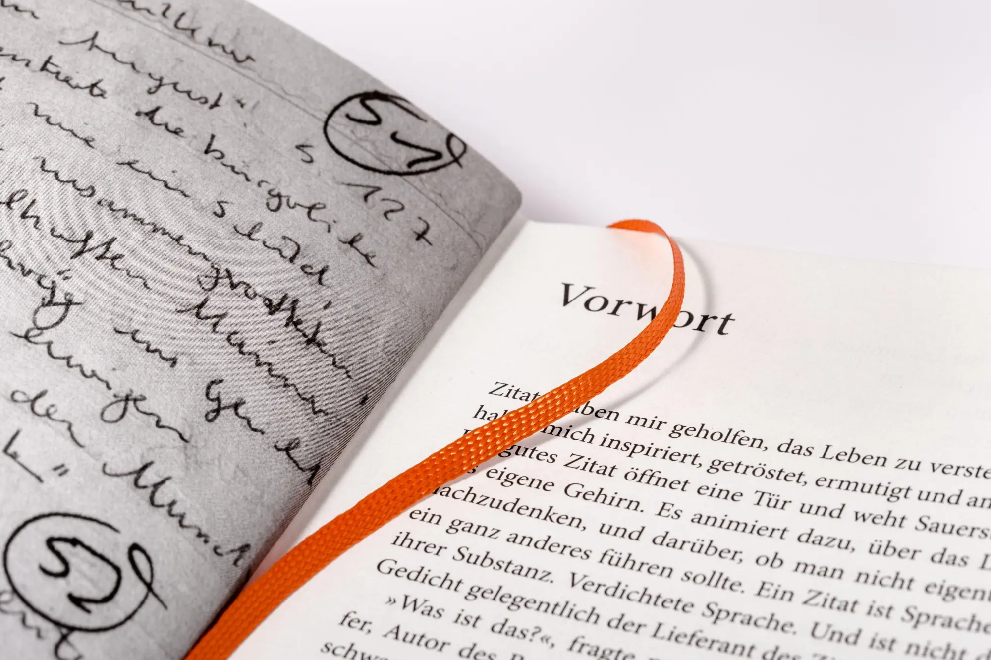 Bild: 9783453219250 | Das Buch meines Lebens haben Klügere geschrieben | Meyer-Burckhardt