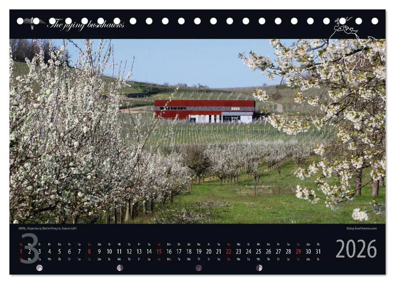 Bild: 9783457279250 | Wein &amp; Architektur 2026 (Tischkalender 2026 DIN A5 quer), CALVENDO...