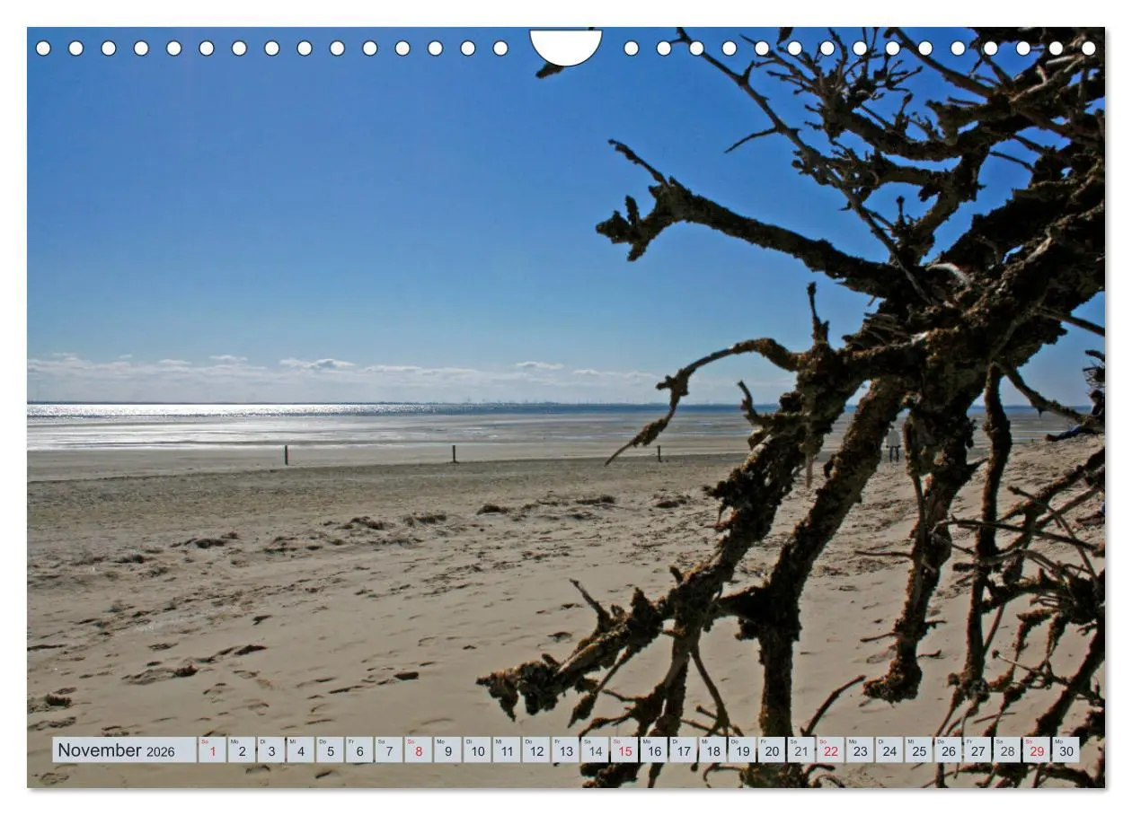 Bild: 9783457729250 | Langeoog - Natur Pur (Wandkalender 2026 DIN A4 quer), CALVENDO...
