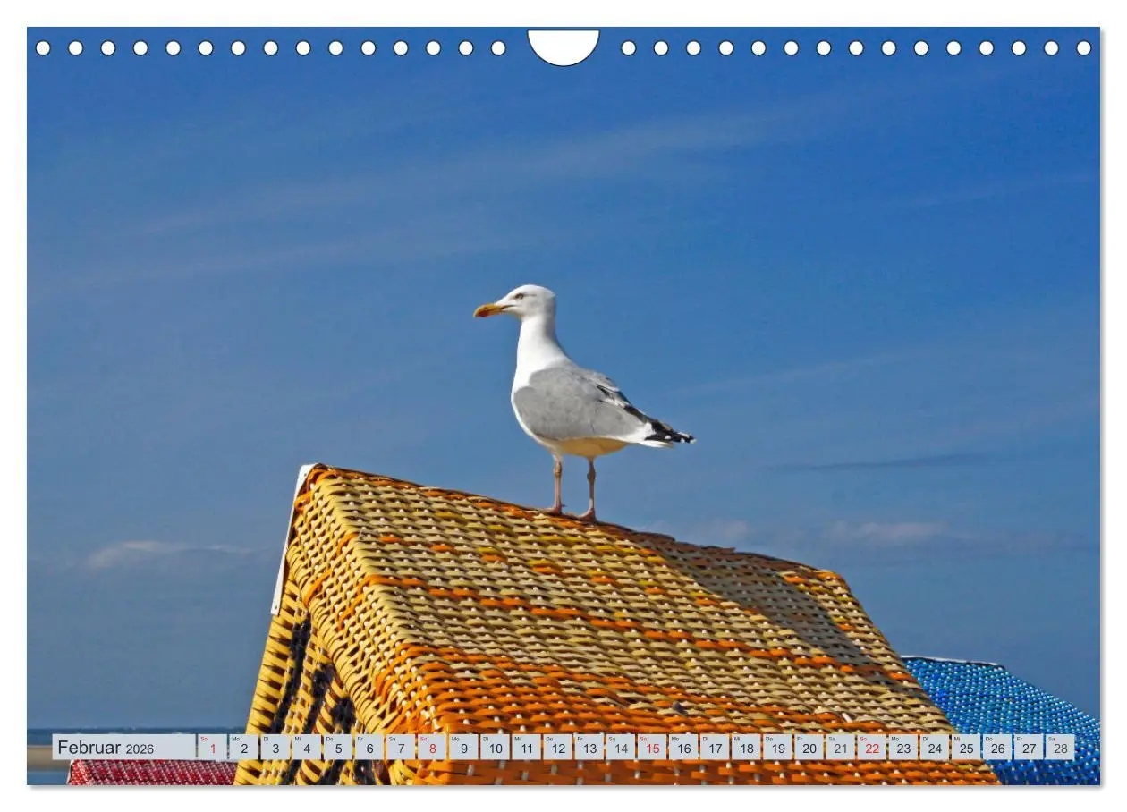Bild: 9783457729250 | Langeoog - Natur Pur (Wandkalender 2026 DIN A4 quer), CALVENDO...